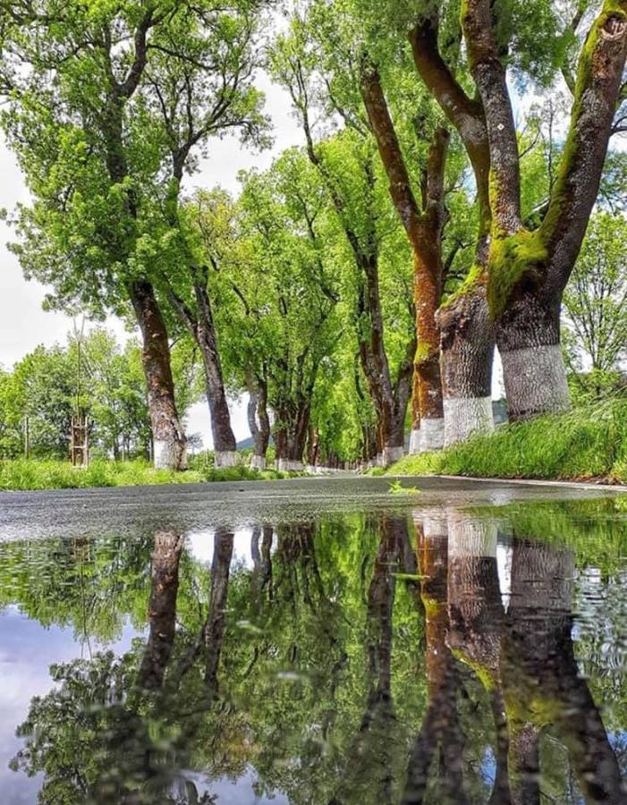 Varanda Do Alentejo Марван Экстерьер фото